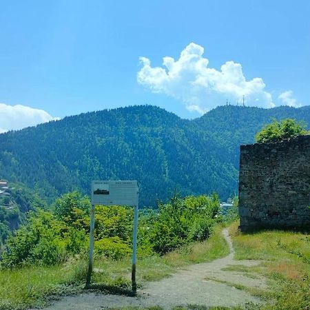 Guest House Gogias Cixe Borjomi Eksteriør bilde