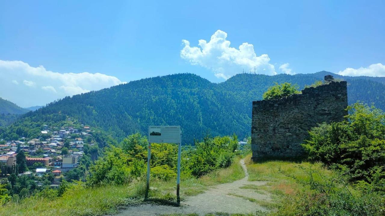 Guest House Gogias Cixe Borjomi Eksteriør bilde