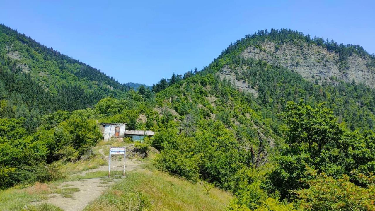 Guest House Gogias Cixe Borjomi Eksteriør bilde