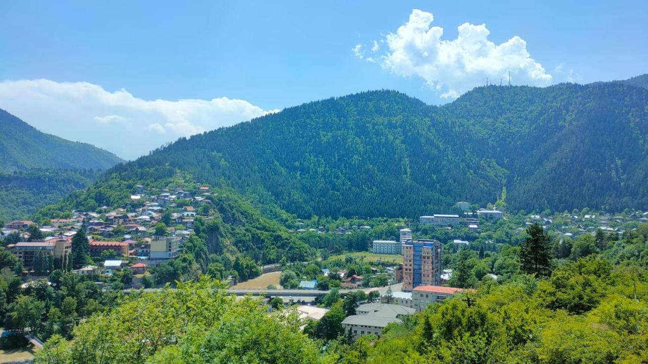 Guest House Gogias Cixe Borjomi Eksteriør bilde