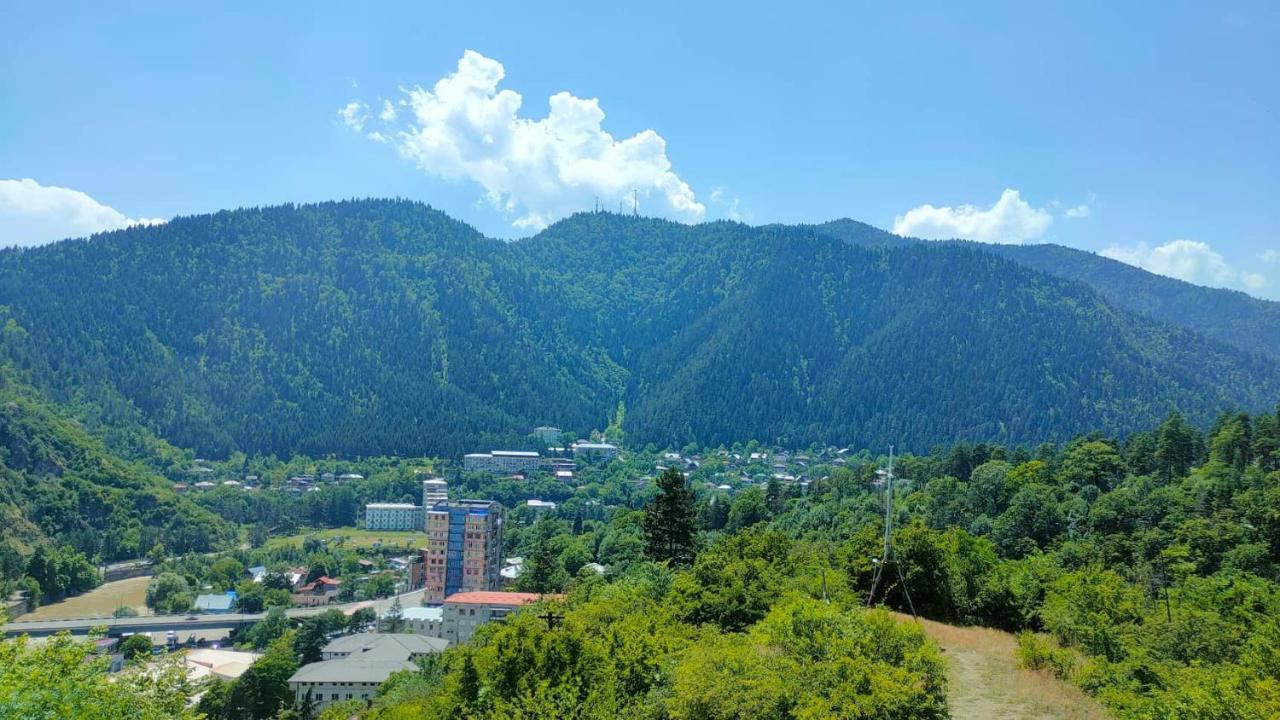 Guest House Gogias Cixe Borjomi Eksteriør bilde