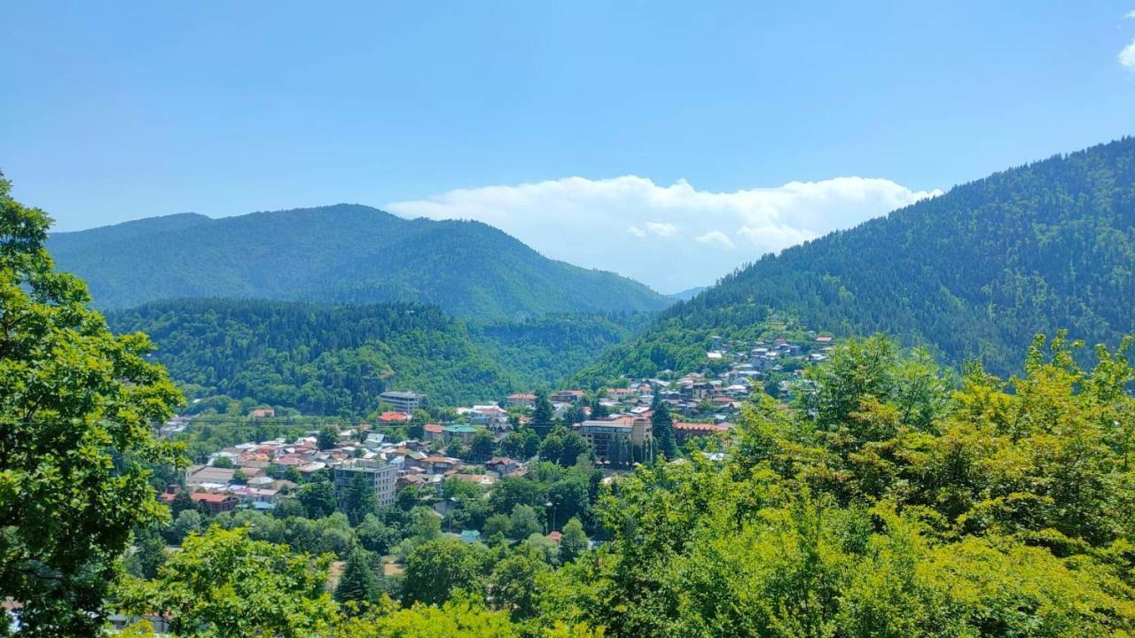 Guest House Gogias Cixe Borjomi Eksteriør bilde