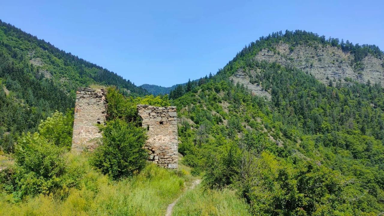 Guest House Gogias Cixe Borjomi Eksteriør bilde