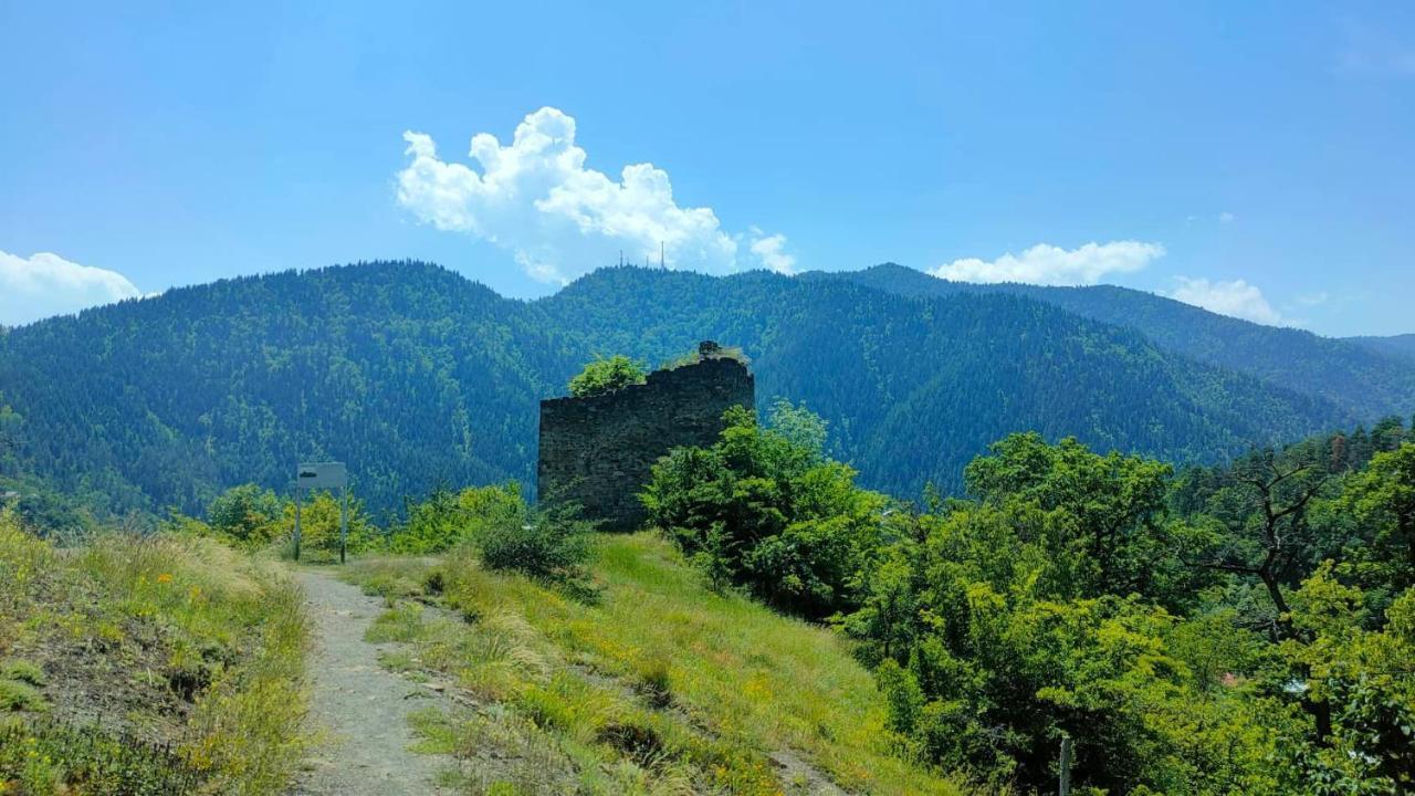 Guest House Gogias Cixe Borjomi Eksteriør bilde
